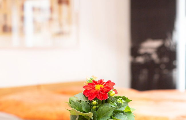 Apartment11 Thüringer - Foto 4