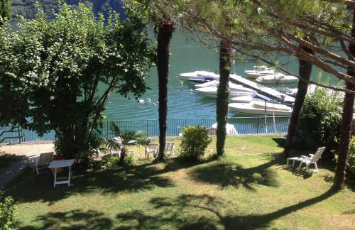 Le palme Antonella - Foto 8