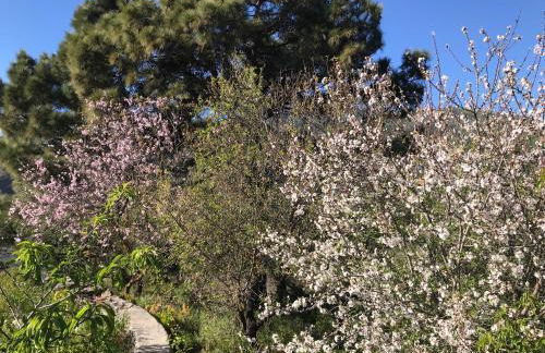 Casa Casilda - Foto 18