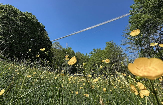 Holiday Home in Germany With Scenic Nature - Foto 26