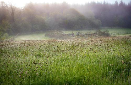 The Garden House, Necarne, Irvinestown - Foto 14