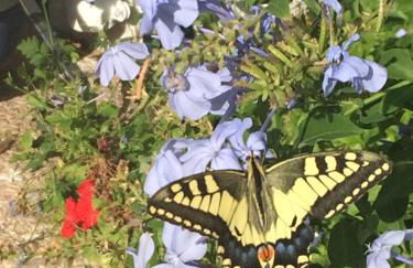 Alojamiento Rural el Azamur - Foto 74