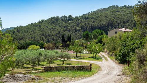 Les Muntades - Foto 3