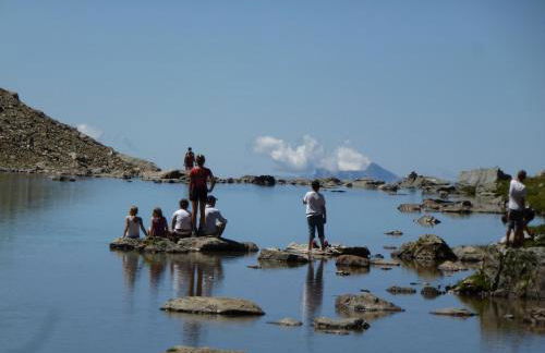 Ski Peak - Chalet Rostaing - Incredible vaulted ceiling dining room and breathtaking garden - Foto 37