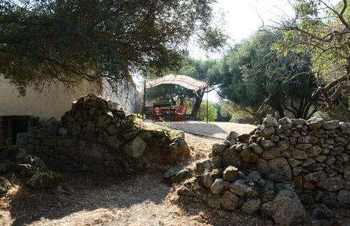 Stazzu Spadulagliu near Olbia - Foto 19