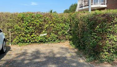 Haus Jenny, Wohnung E3b, Sonne rundum - Foto 5