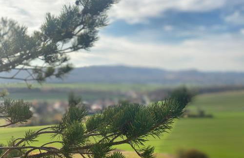 Ferienwohnung "Harzliebe" - Foto 31