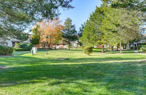 Travel Nurses Welcome! Quaint Alexandria Condo - Foto 23