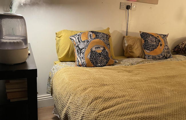 Large 1-bed Studio in London Well Equipped - Foto 3