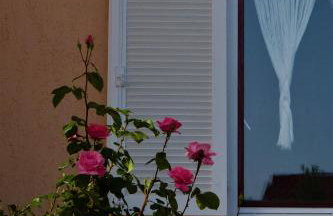 Apartmani Milena - Foto 48