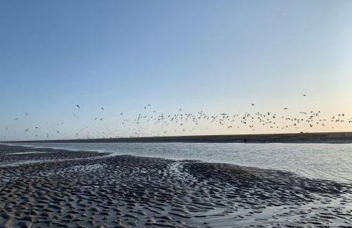 La villa dans les pins - Photo 46