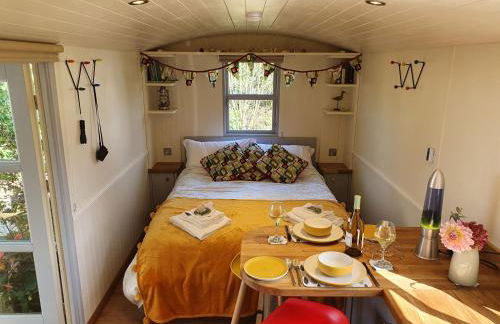 The Pheasant - Foto 2