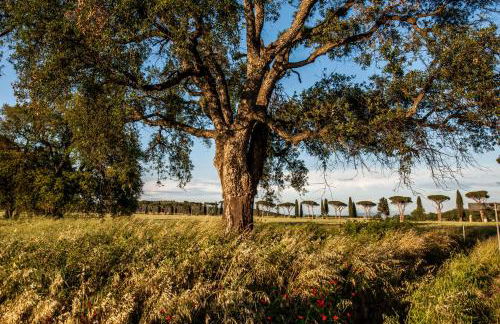 REFUGIUM CountryHouse - Foto 10