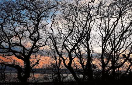 Relaxing Coastal Retreat for 2 Hot Tub Log Fire - Foto 26