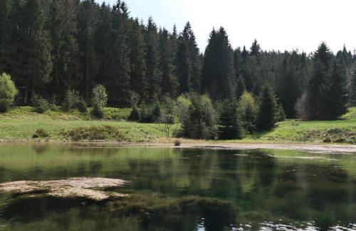 Lauschablick FeWo Thüringen - Foto 50