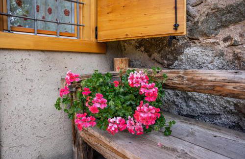 Baita Naibiz - Foto 35