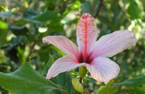 Stratos Villas - Foto 44