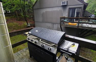 Rustic Mountain Escape Waterpark, Ski & Views! - Foto 30