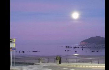 Playa Centro Piscina - Foto 35