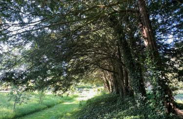 The Annexe at Fishponds - Photo 43