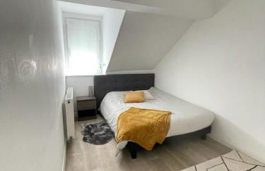 appartement entier sur Reims - 4 Voyageurs - Foto 64