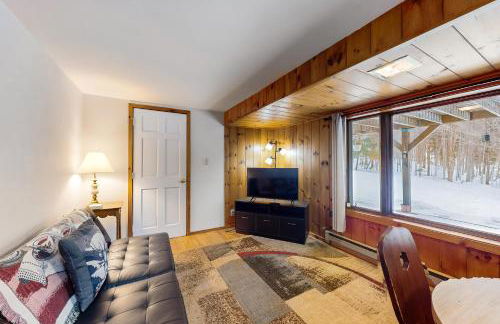 Mt Ellen Minikin - Foto 8