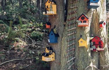 Perch - Ellie's Secret Cabin - Foto 61