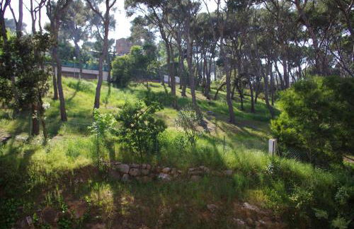 Eden Playa Standing - Foto 20