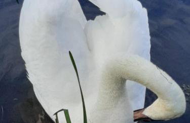 Apartmani Fenestra -Zagorka - Foto 12