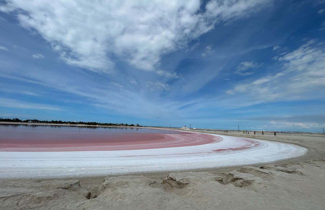 Las Coloradas Panoramic Tour - Photo 5