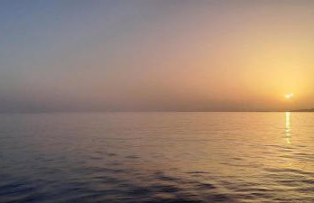 Dinas Inn - Photo 34