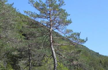 Caserón Baruca - Photo 10