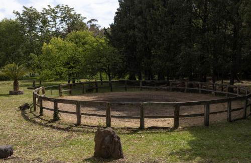 Parco Statella - Foto 47