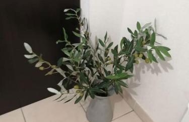 Le soleil d Eugènie appartement dans résidence avec Piscine commune près de Carcassonne - Foto 6