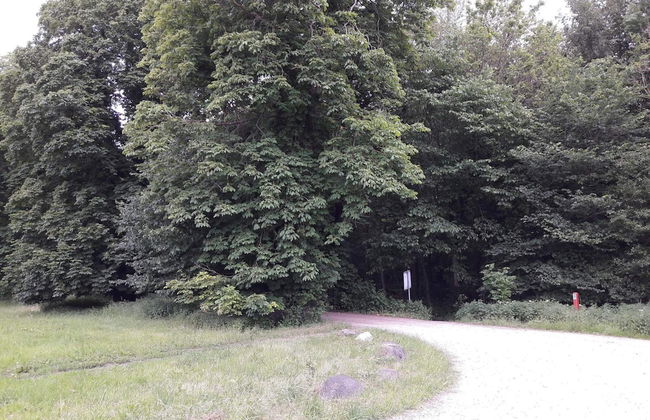 6 Person Holiday Home in Taastrup - Photo 26