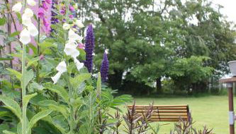 Off the Rails - Foto 3