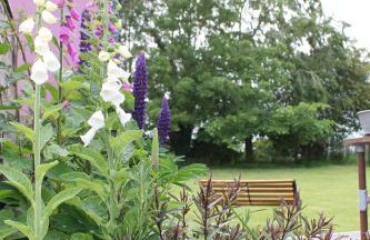 Off the Rails - Foto 3