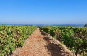 Casa Kühn - Foto 19