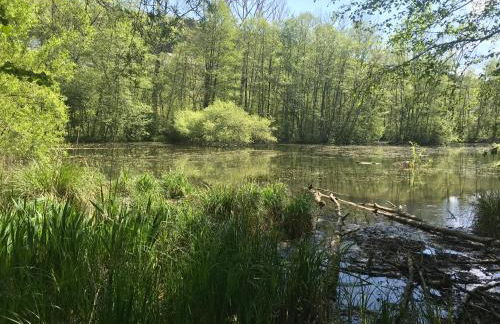 Große und helle 3 Zi Wohnung in Loßburg-Betzweiler, Schwarzwald - Foto 25