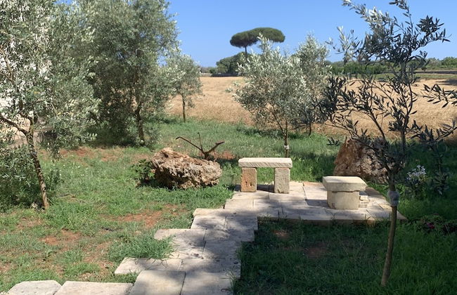 BioAgriturismo Messer Gesualdo - Photo 23