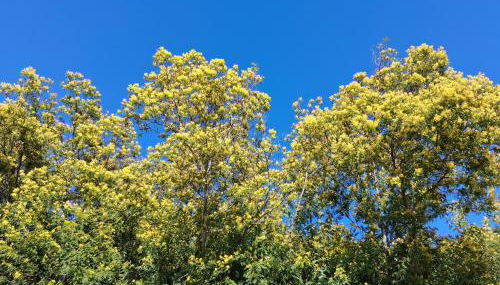 La Quiétude - Foto 3