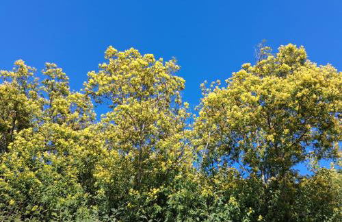 La Quiétude - Foto 3