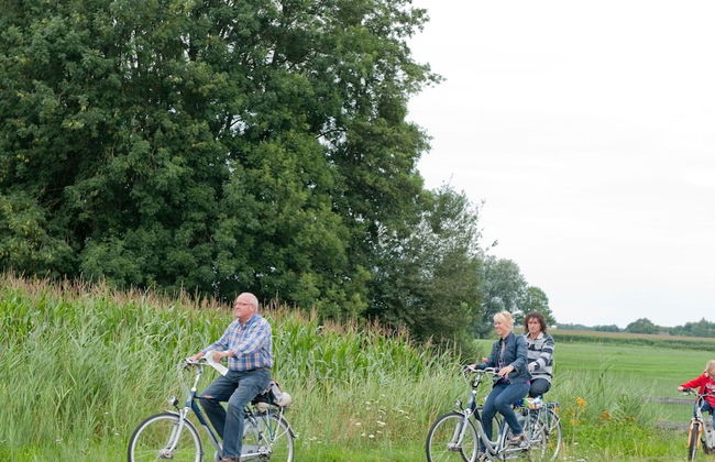 Bungalow in De Peel by Forest Retreat - Photo 22