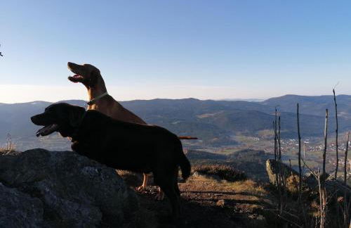Ferienwohnung zur alten Schmiede - Foto 39