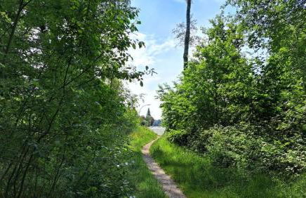 Ferienwohnung Helene - Foto 28