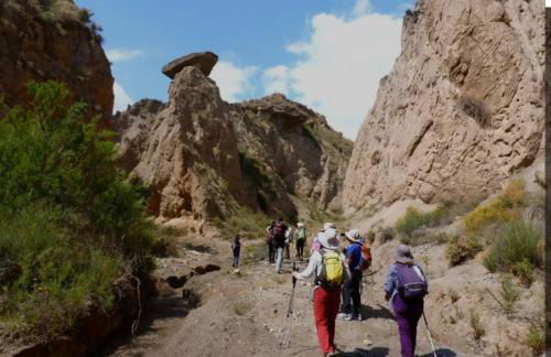 Casa Tropical, serene poolside retreat in nature - Foto 29