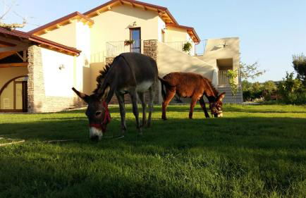 Agriturismo Frantoio Mafrica - Foto 9