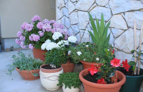 Apartments with parking space Punta kriza, Cres - 8082 - Foto 8