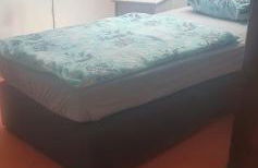 Lieblingsgast - Foto 29