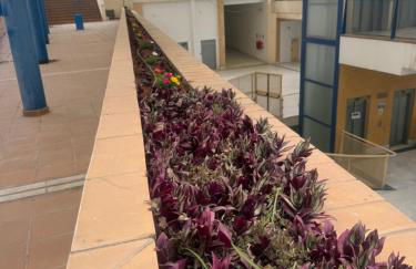 AljaLux Sevilla Bormujos - Foto 51